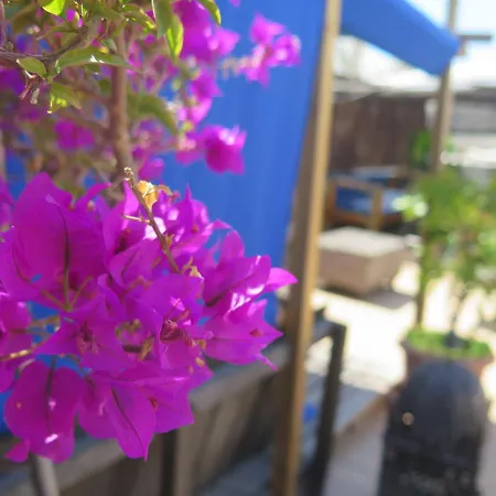 Apartment Casa Piratas Y Mina Cádiz