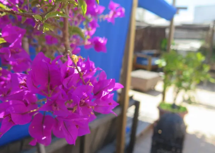 Apartmán Casa Piratas Y Mina Cádiz